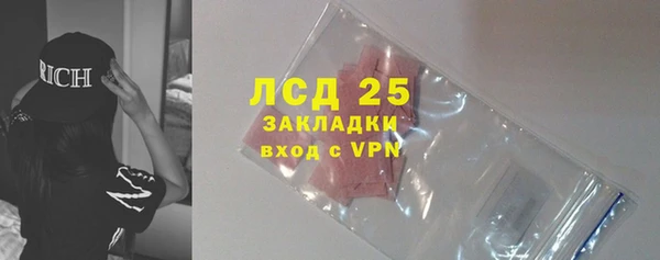твердый Алексин