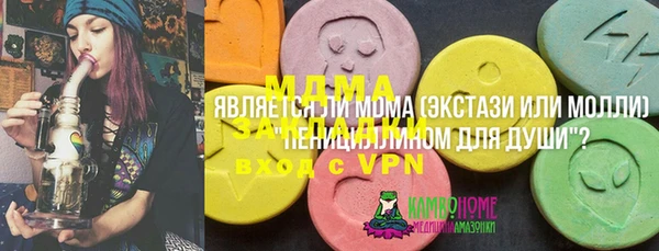 твердый Алексин
