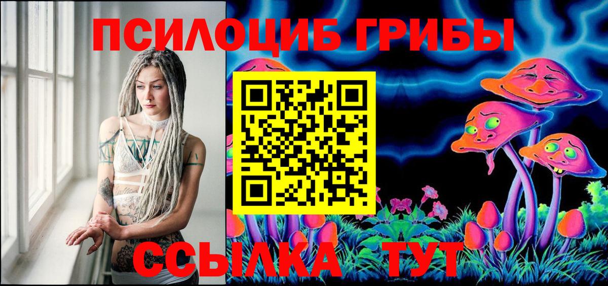 Галлюциногенные грибы Cubensis Кимры