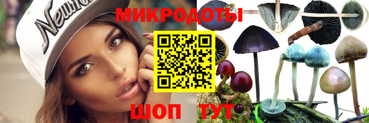 Кимры  Галлюциногенные грибы GOLDEN TEACHER  Галлюциногенные грибы Cubensis  Вход с VPN 